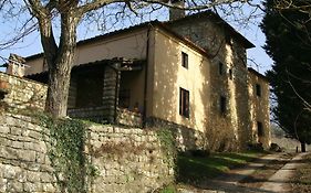 Fattoria Dell'Orto Degli Ulivi